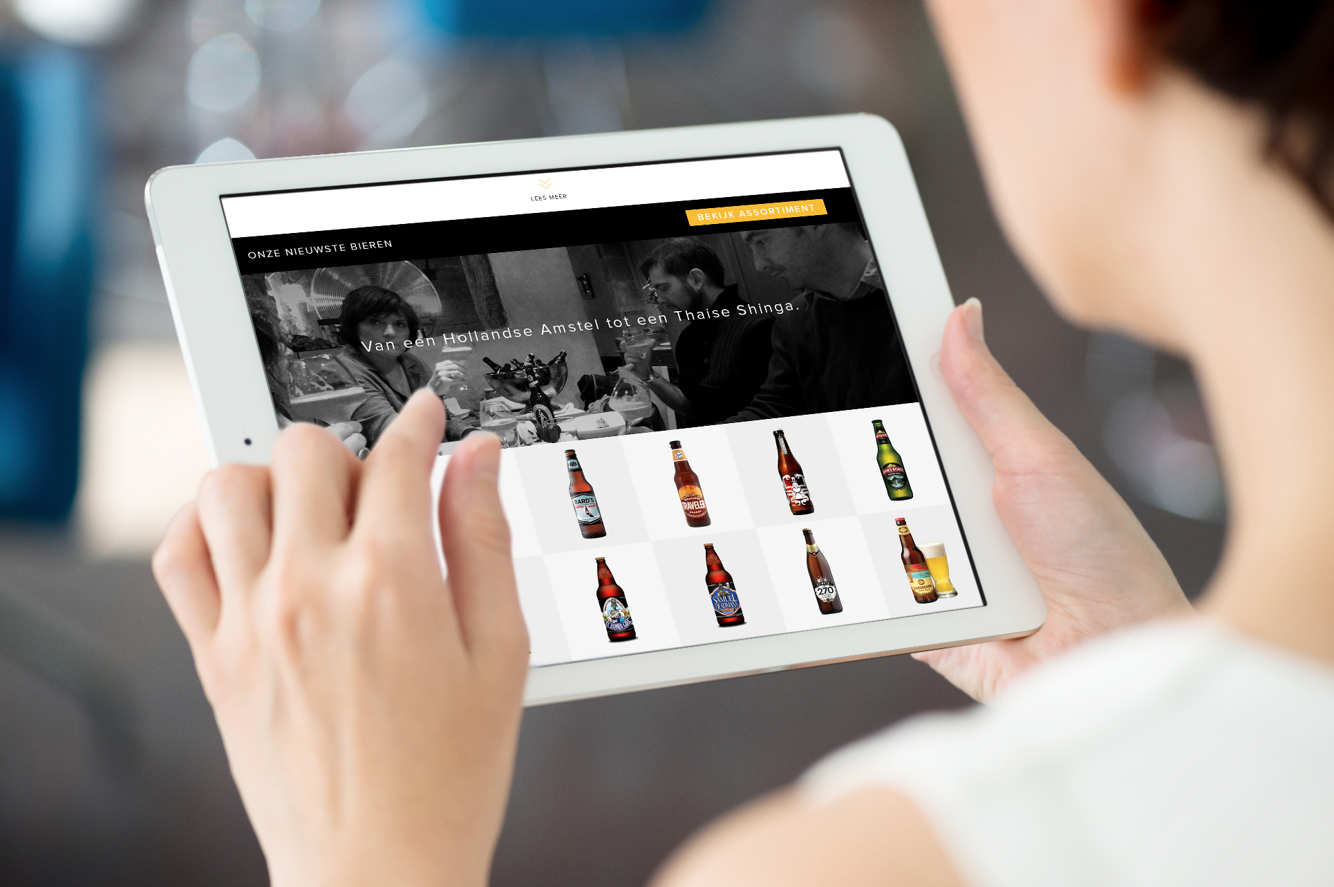 Vindbaarheid website